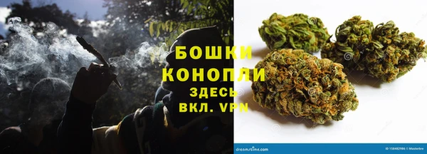 гашик Вяземский
