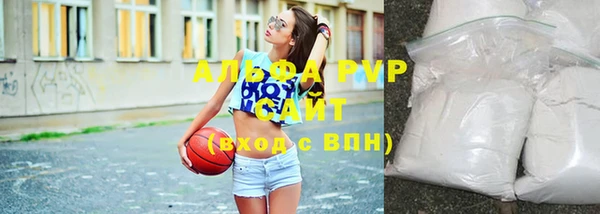 гашик Вяземский