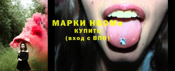 гашик Вяземский
