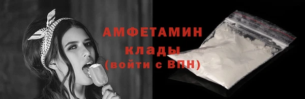 гашик Вяземский
