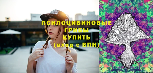 гашик Вяземский