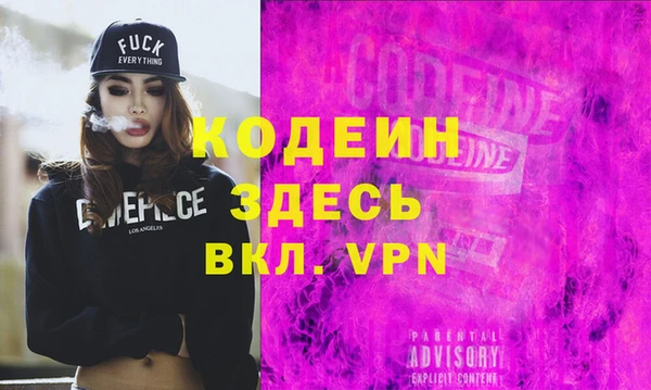 гашик Вяземский