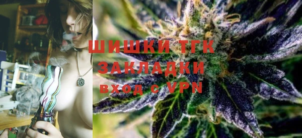 гашик Вяземский