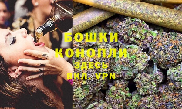 гашик Вяземский
