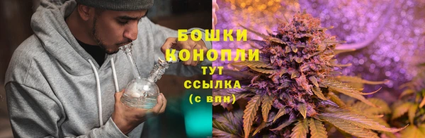 ГАЛЛЮЦИНОГЕННЫЕ ГРИБЫ Вязьма