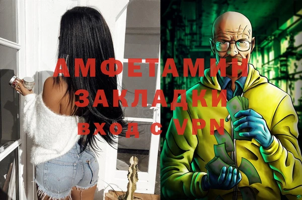 гашик Вяземский