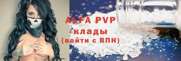 гашик Вяземский