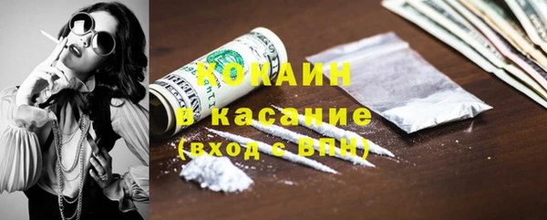 гашик Вяземский